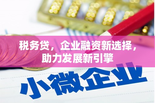 海原税务贷，企业融资新选择，助力发展新引擎