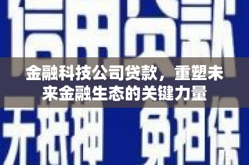 海原金融科技公司贷款，重塑未来金融生态的关键力量