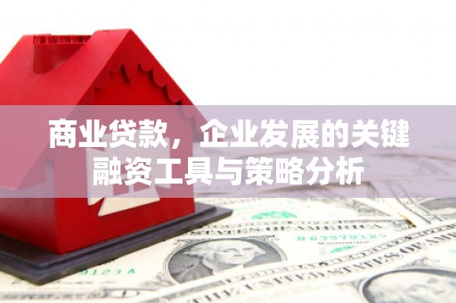 海原商业贷款，企业发展的关键融资工具与策略分析