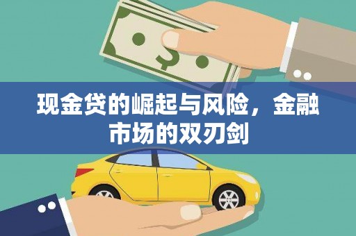 海原现金贷的崛起与风险，金融市场的双刃剑