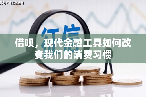 海原借呗，现代金融工具如何改变我们的消费习惯