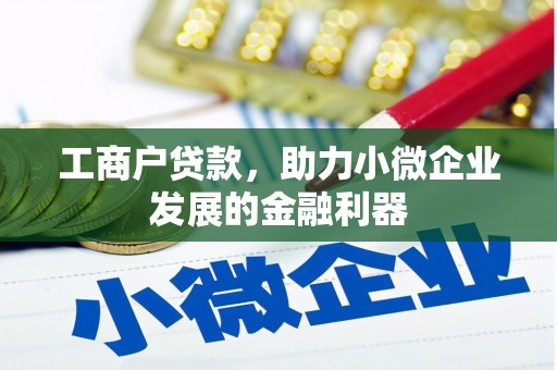 海原工商户贷款，助力小微企业发展的金融利器