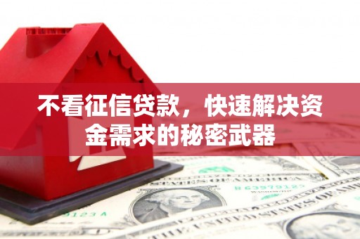 海原不看征信贷款，快速解决资金需求的秘密武器