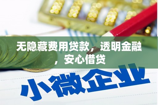 海原无隐藏费用贷款，透明金融，安心借贷