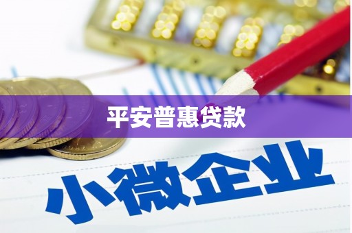 海原平安普惠贷款