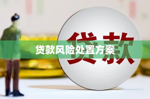 海原贷款风险处置方案