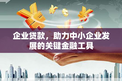 海原企业贷款，助力中小企业发展的关键金融工具