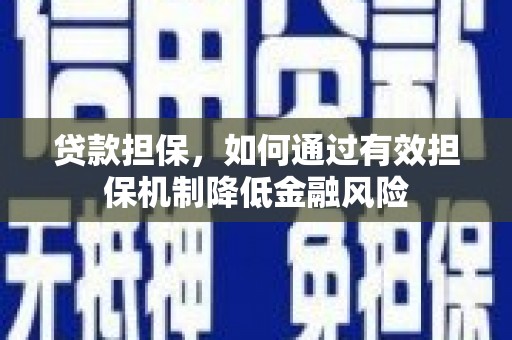 海原贷款担保，如何通过有效担保机制降低金融风险