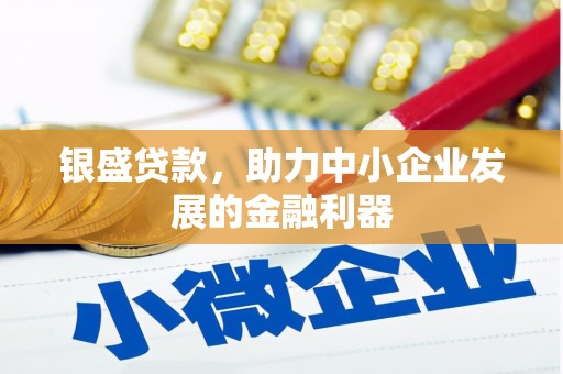 海原银盛贷款，助力中小企业发展的金融利器