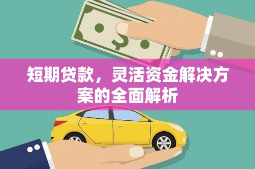 海原短期贷款，灵活资金解决方案的全面解析