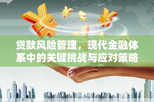 海原贷款风险管理，现代金融体系中的关键挑战与应对策略