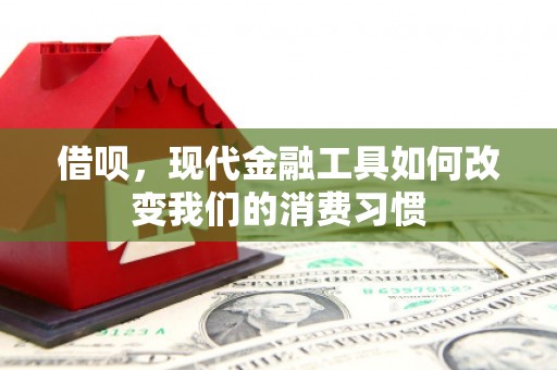 海原借呗，现代金融工具如何改变我们的消费习惯