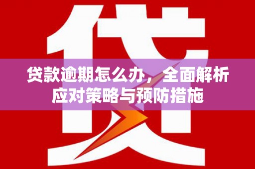 海原贷款逾期怎么办，全面解析应对策略与预防措施