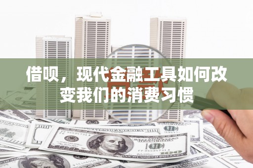 海原借呗，现代金融工具如何改变我们的消费习惯
