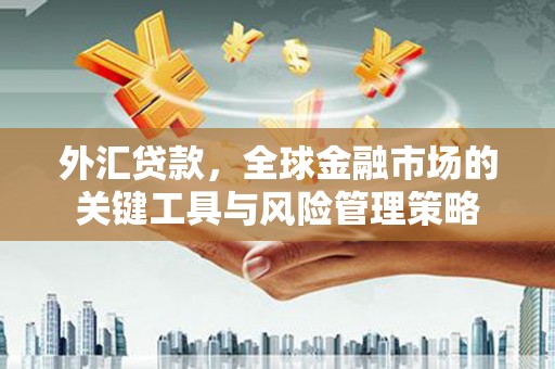 海原外汇贷款，全球金融市场的关键工具与风险管理策略