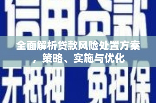 海原全面解析贷款风险处置方案，策略、实施与优化