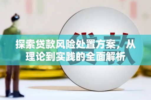 海原探索贷款风险处置方案，从理论到实践的全面解析