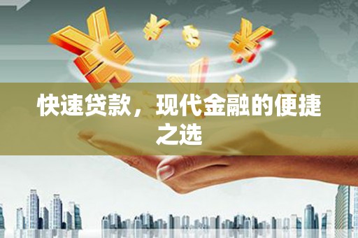 海原快速贷款，现代金融的便捷之选