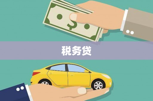 海原税务贷