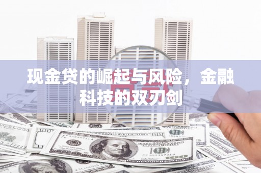 海原现金贷的崛起与风险，金融科技的双刃剑