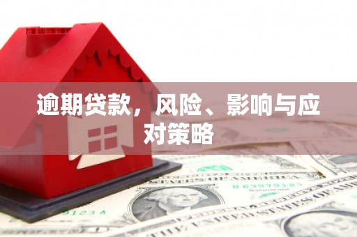 海原逾期贷款，风险、影响与应对策略