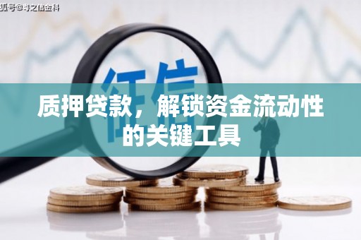 海原质押贷款，解锁资金流动性的关键工具