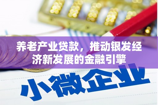 海原养老产业贷款，推动银发经济新发展的金融引擎