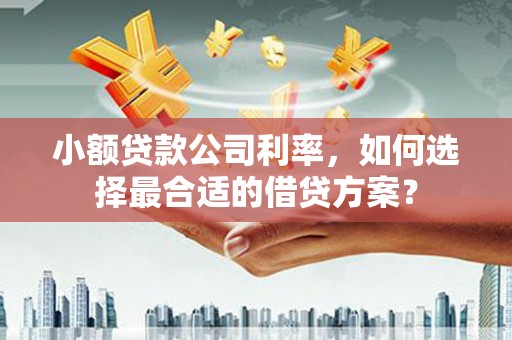 海原小额贷款公司利率，如何选择最合适的借贷方案？