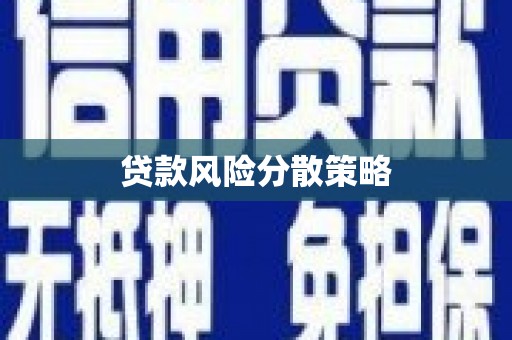 海原贷款风险分散策略