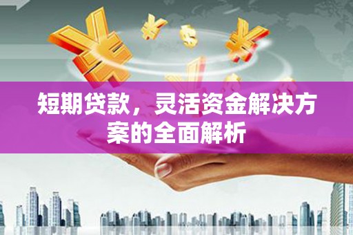 海原短期贷款，灵活资金解决方案的全面解析