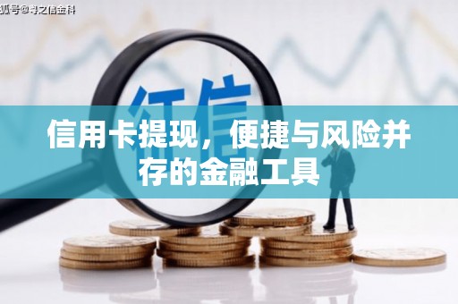 海原信用卡提现，便捷与风险并存的金融工具