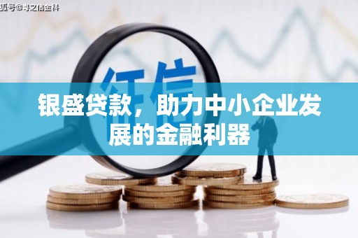 海原银盛贷款，助力中小企业发展的金融利器