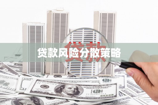 海原贷款风险分散策略