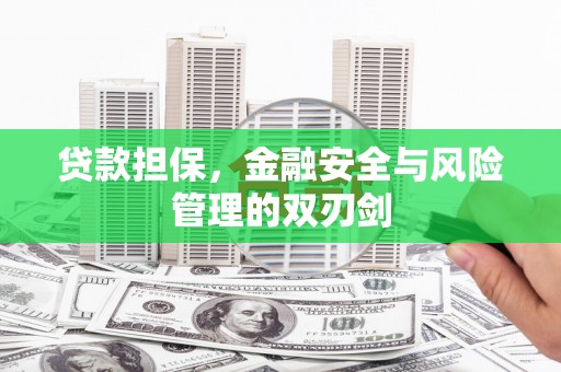 海原贷款担保，金融安全与风险管理的双刃剑