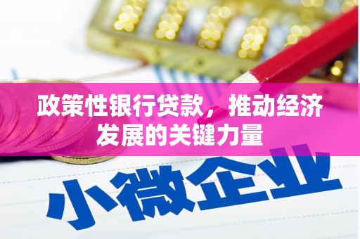 海原政策性银行贷款，推动经济发展的关键力量