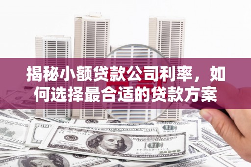 海原揭秘小额贷款公司利率，如何选择最合适的贷款方案