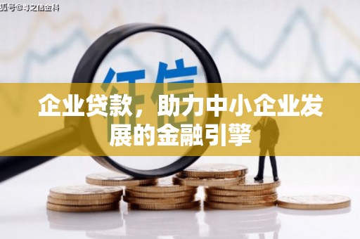 海原企业贷款，助力中小企业发展的金融引擎