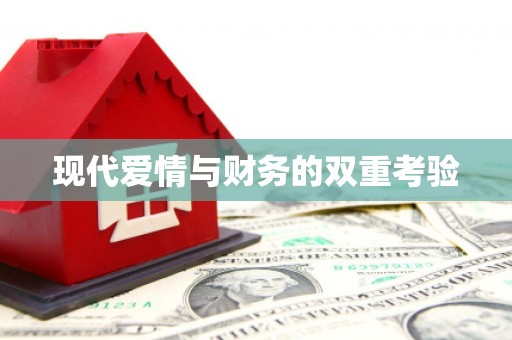 海原现代爱情与财务的双重考验
