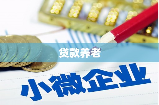 海原贷款养老