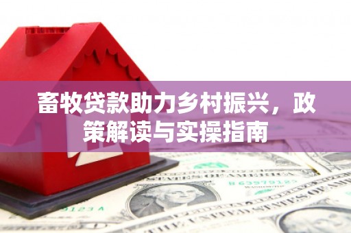 海原畜牧贷款助力乡村振兴，政策解读与实操指南