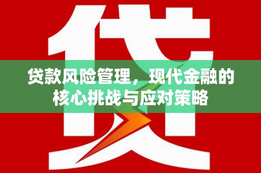 海原贷款风险管理，现代金融的核心挑战与应对策略