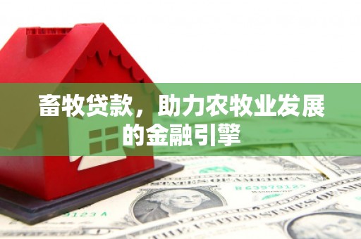 海原畜牧贷款，助力农牧业发展的金融引擎