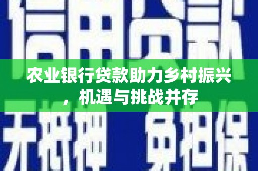 海原农业银行贷款助力乡村振兴，机遇与挑战并存