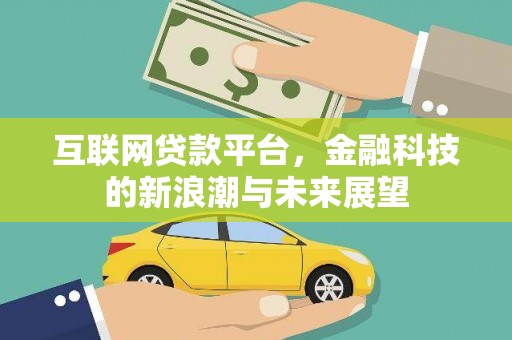 海原互联网贷款平台，金融科技的新浪潮与未来展望