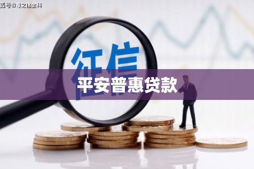 海原平安普惠贷款
