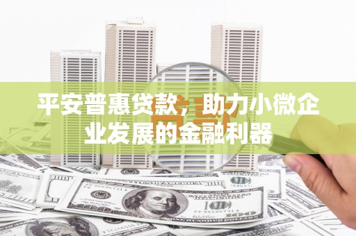 海原平安普惠贷款，助力小微企业发展的金融利器