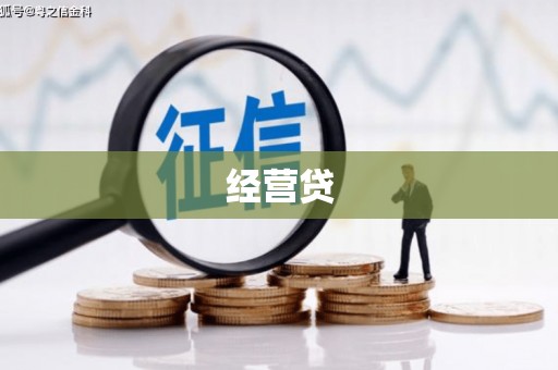 海原经营贷