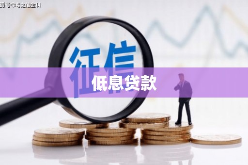 海原低息贷款