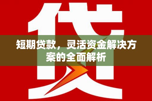 海原短期贷款，灵活资金解决方案的全面解析