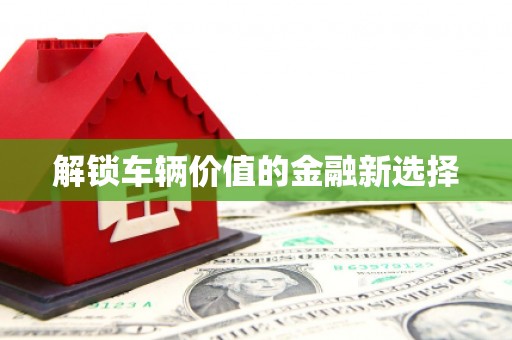 海原解锁车辆价值的金融新选择